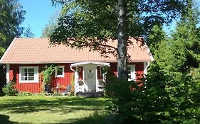 Björkslingan